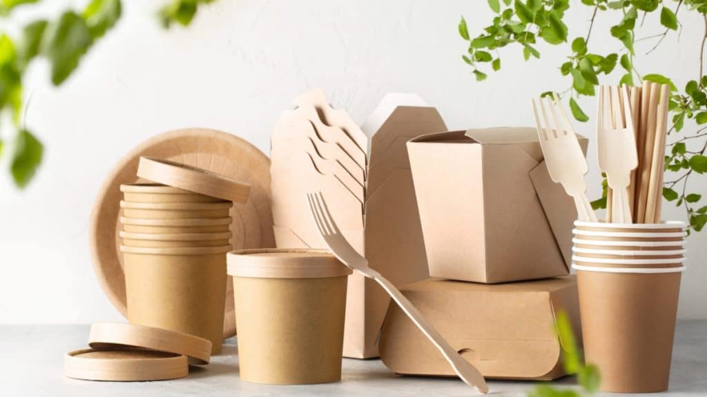 The Importance of Eco-Friendly Takeaway Food Packaging