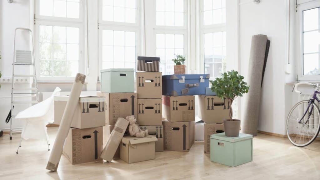 What Not To Pack When Moving? 7 Things You Can Skip