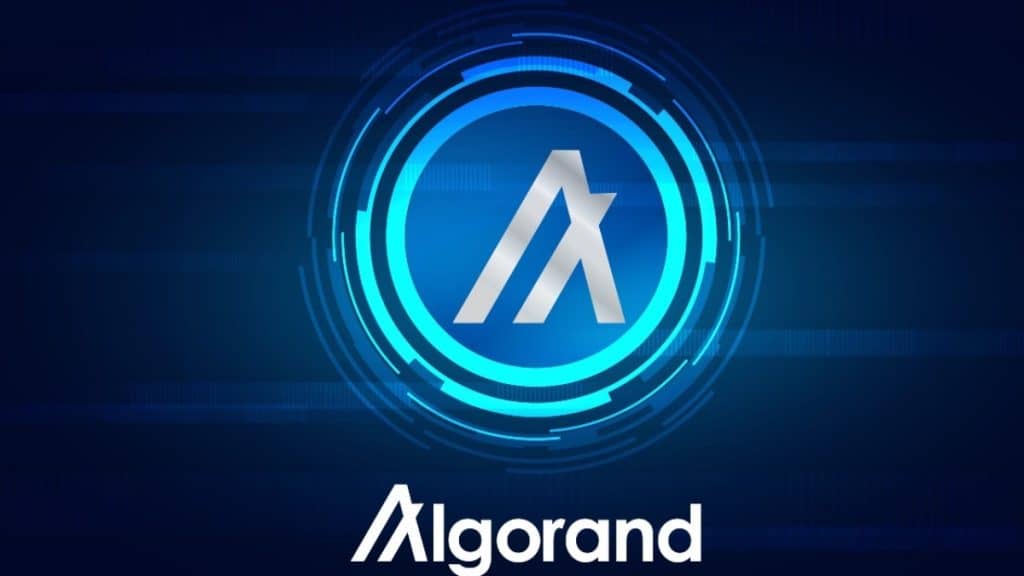 Speed of Transactions on the Algorand Network