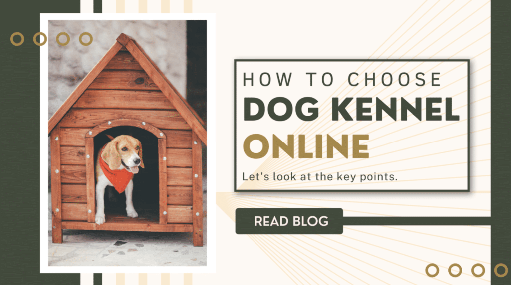 How to Choose the Perfect Dog Kennel Online: Why Paw Comfort AU is Your Trusted Source