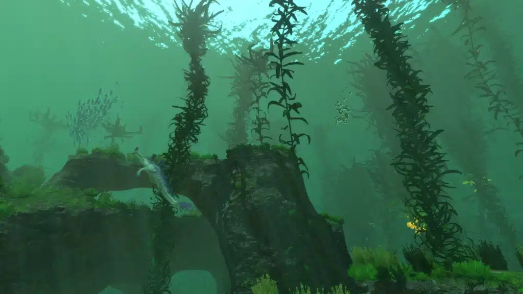 Subnautica Below Zero Map: Kelp Forest