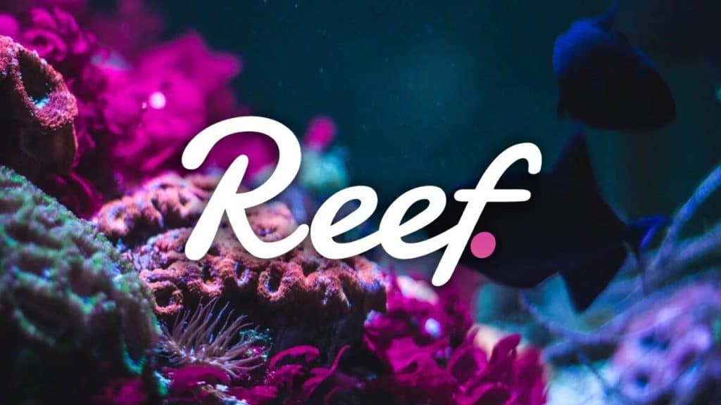 Top 3 Strategic Moves for Reef in the Crypto Ecosystem