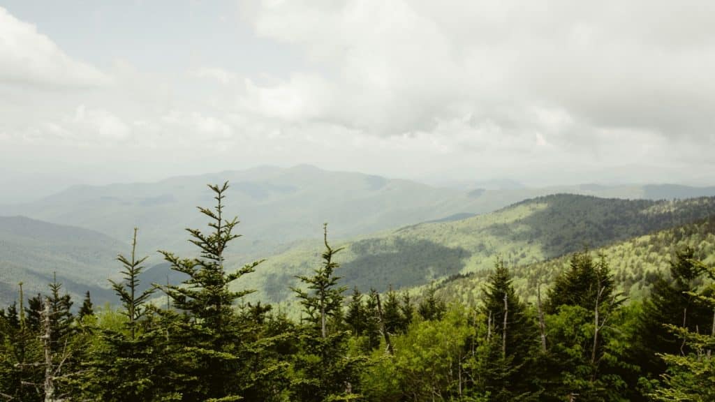 7 Safety Tips for Hiking in the Smoky Mountains