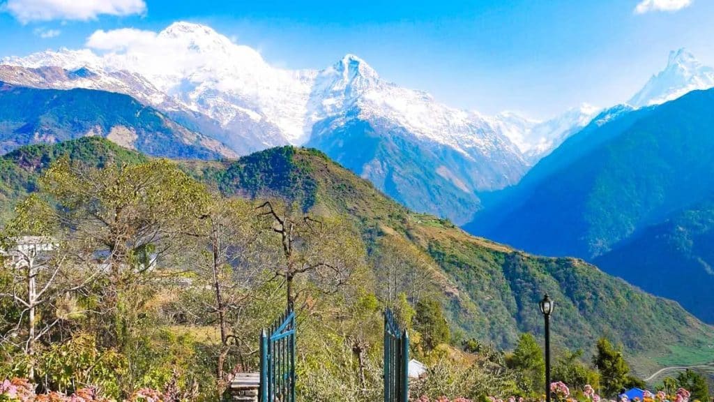 Ghorepani Poon Hill Trek Complete Guide