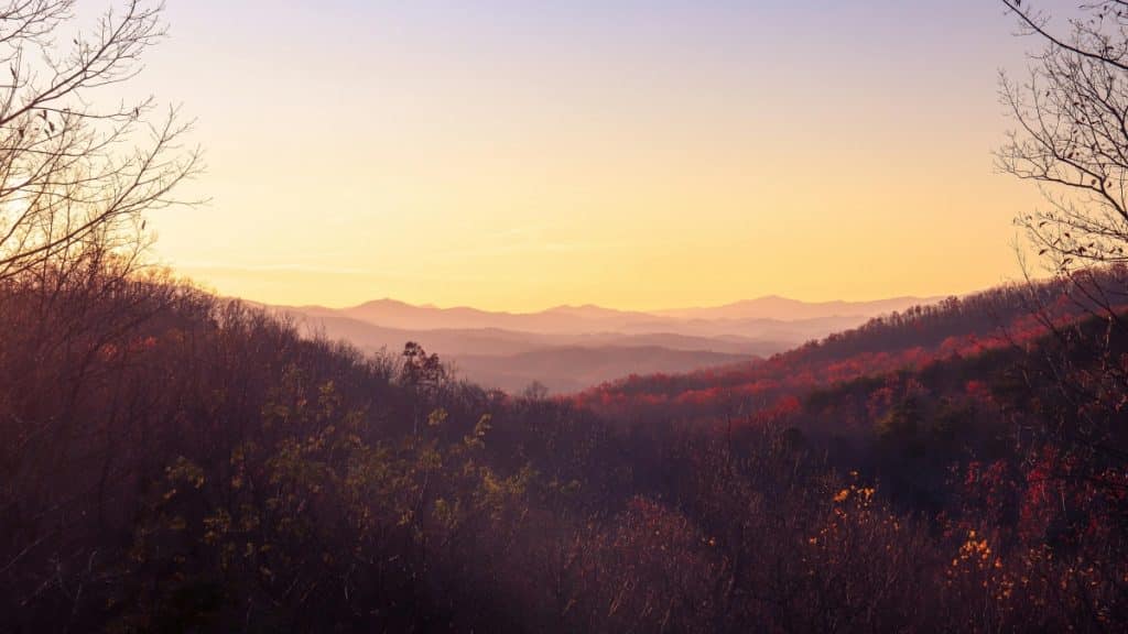 How to Balance Group Activities and Personal Time on a Large Group Vacation in the Smoky Mountains