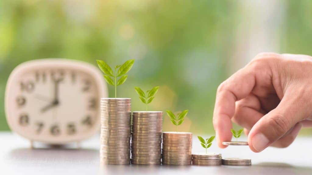 Investment Planning for Sustainable Wealth Growth