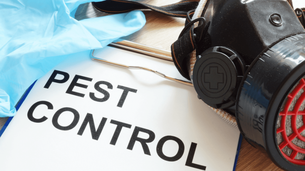 Pest Control Myths Debunked What Really Works?