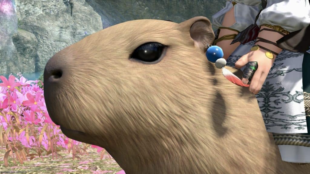 Capybara Mount FFXIV: The Adorable Capybara Mount