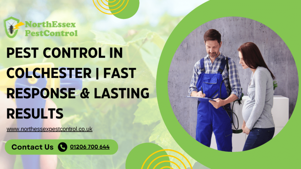 Why Professional Pest Control in Colchester is Worth the Investment