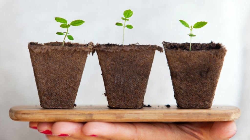 5 Essential Tips for Growing your Business