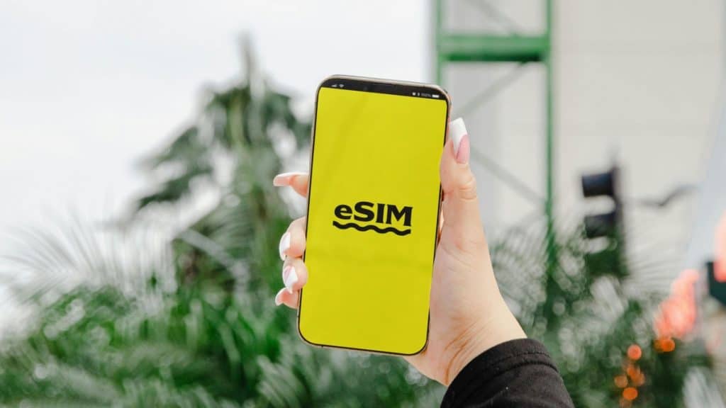 Best eSIM Software Provider