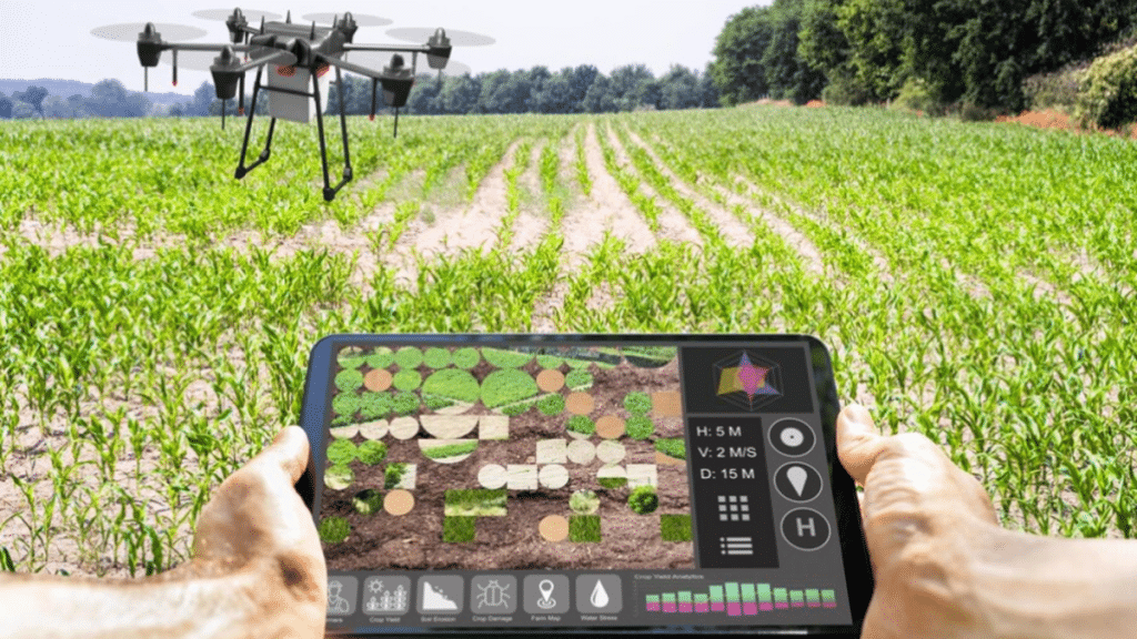 Harvesting the Future Unleashing Technology and Innovation in Thailand's Agriculture