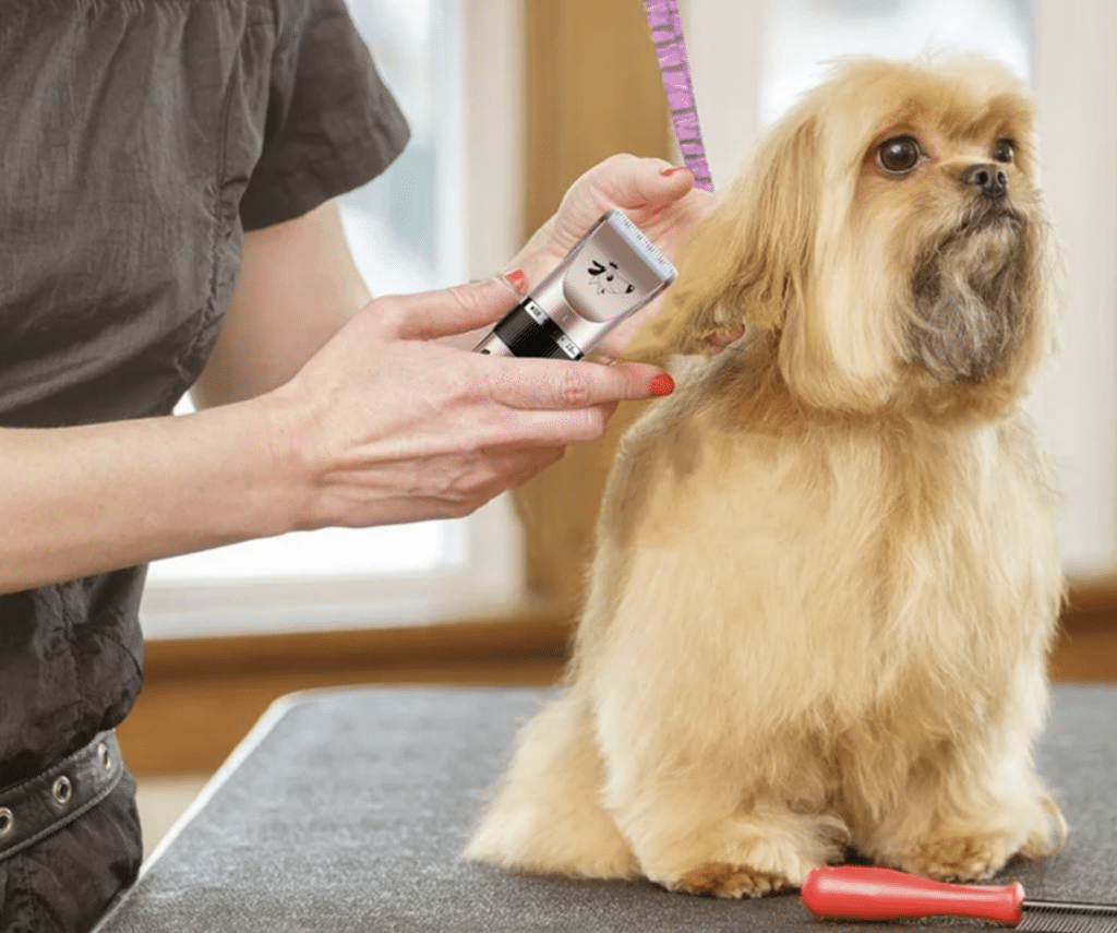 The Future of Dog Grooming: Cordless Clippers for Smooth and Quiet Grooming!