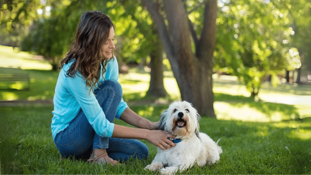 Why Every Pet Business Needs Professional Pet Consulting Services