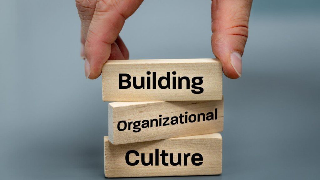 Enhancing Your Business by Conducting Company Culture Surveys