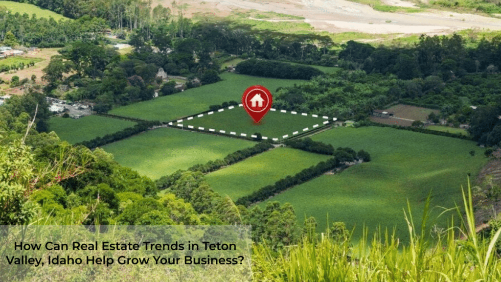 How Can Real Estate Trends in Teton Valley, Idaho Help Grow Your Business?