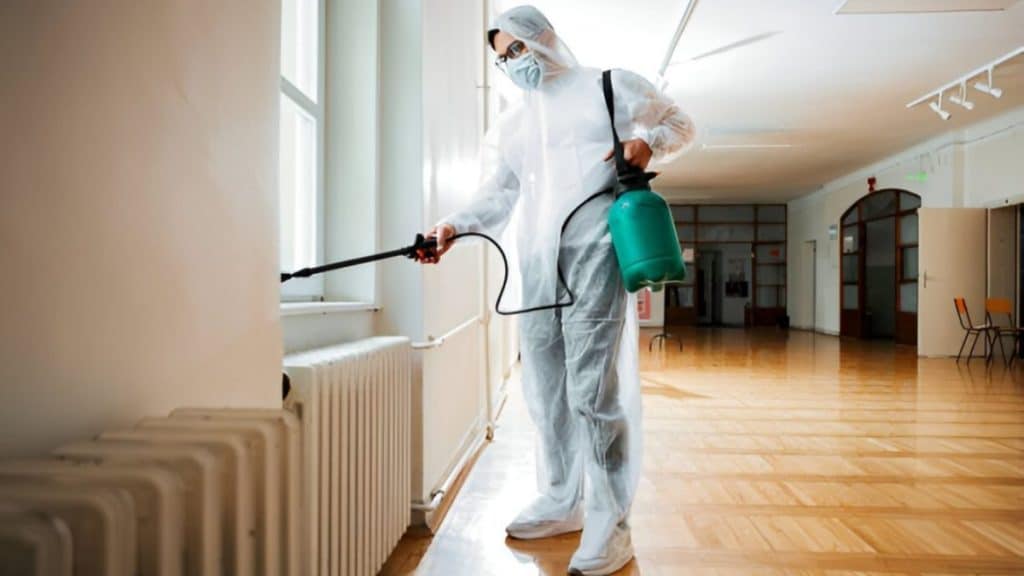 How to Get the Best Pest Control Service in Dhaka, Bangladesh