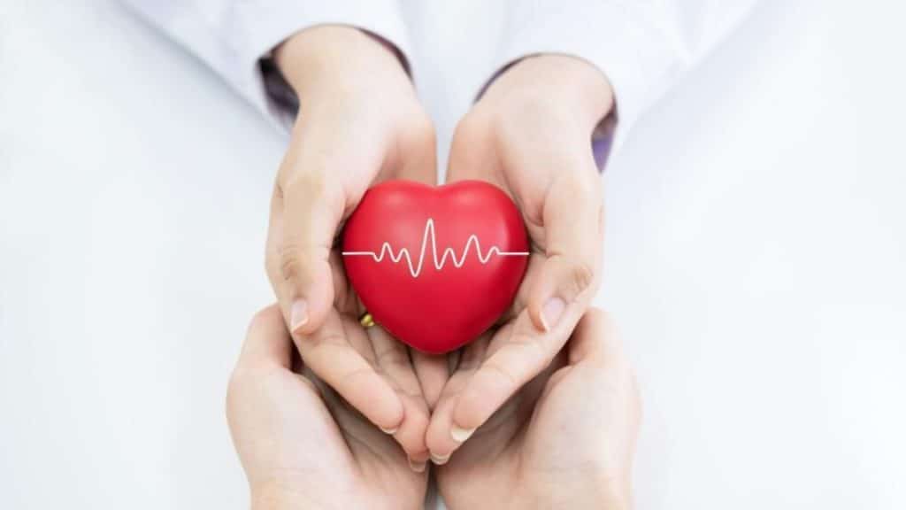 Understanding Your Heart Health A Guide to Echocardiograms and Stress Tests