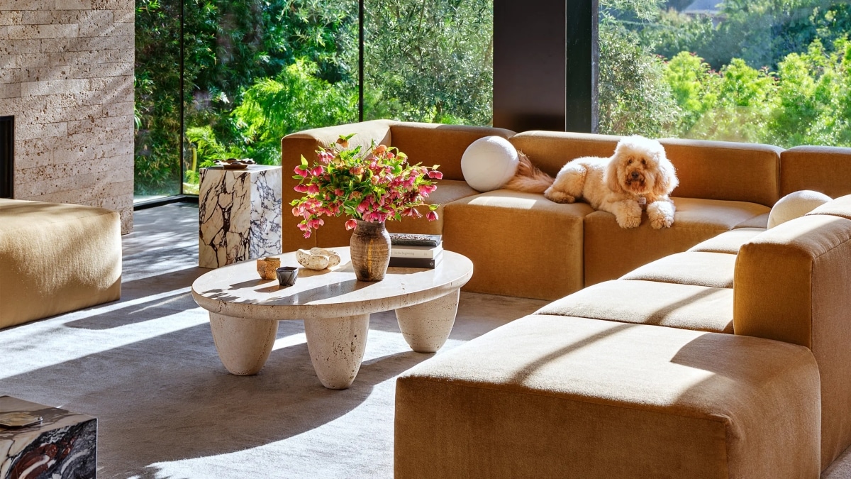 Design Ideas for a Pet-Friendly Condo Interior Design Ideas for a Pet-Friendly Condo Interior