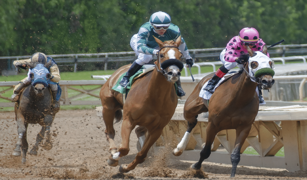 How Does Photo-Finish Horse Racing Technology Work