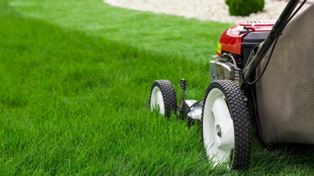 How Regular Lawn Care and Maintenance Prevent Expensive Landscaping Repairs