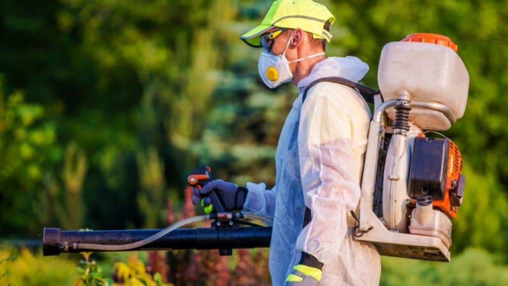 How to Choose the Right Pest Control Service in Sydney