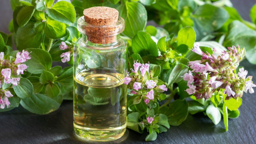 The Science-Backed Benefits of Oregano Oil