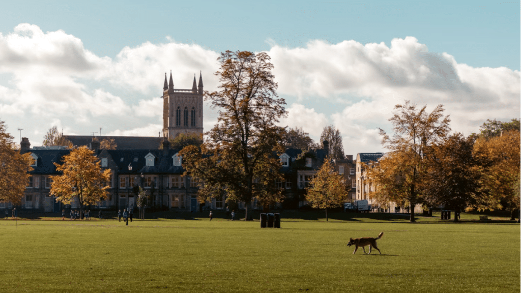 Top Sights to Explore During Your Cambridge Summer School Experience