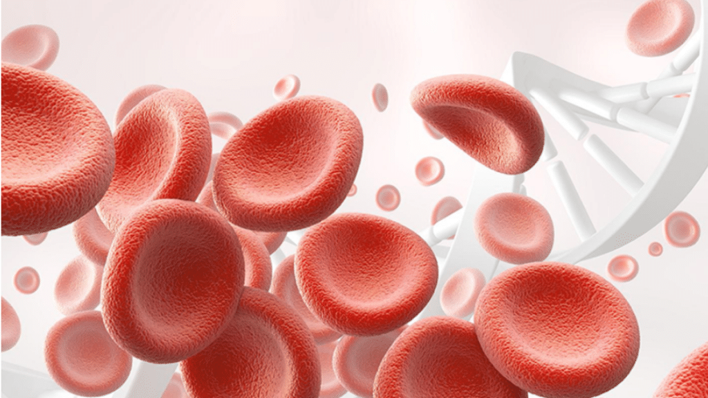 Common Types of Blood Disorders and the CAR-T and HSCT Therapies