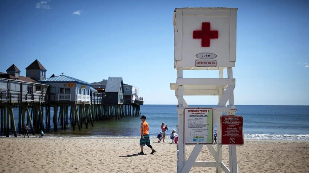 Comparing Lifeguard Certifications American Lifeguard Association vs. American Red Cross