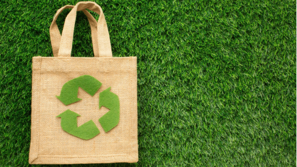 Eco-Friendly Bags Benefits, Wholesale, And Research