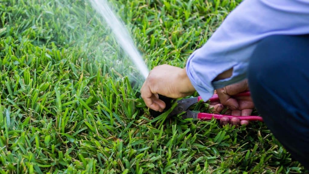 How Texas Water Boys Irrigation Helps Prevent Water Damage with Customized Drainage Systems