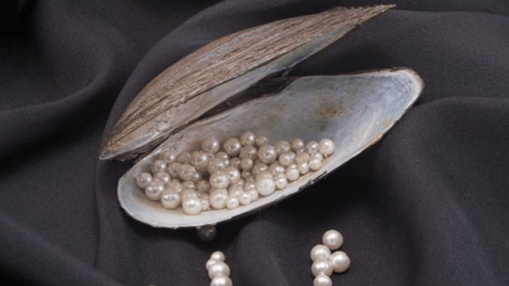 Natural vs. Cultured Pearls Everything You Need to Know