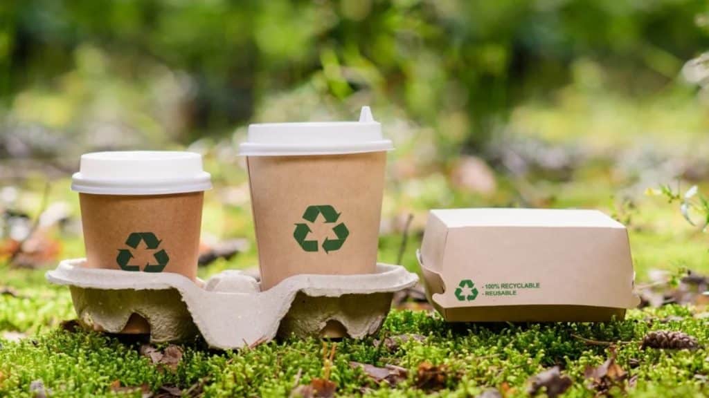 Say Goodbye to Plastic with Environmentally Friendly Food Packaging