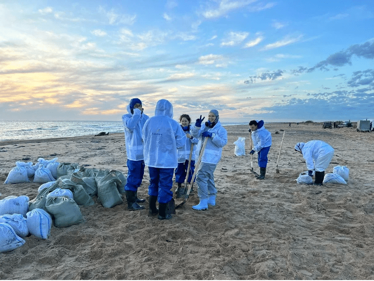 The NGO Eurasia's Volunteers Help in the Black Sea Cleanup Effort