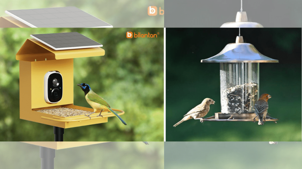 Why a Smart Bird Feeder with Camera is a Game-Changer for Birdwatching Enthusiasts