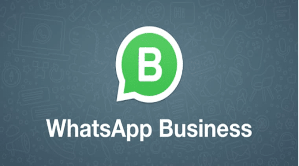 whatsapp business data