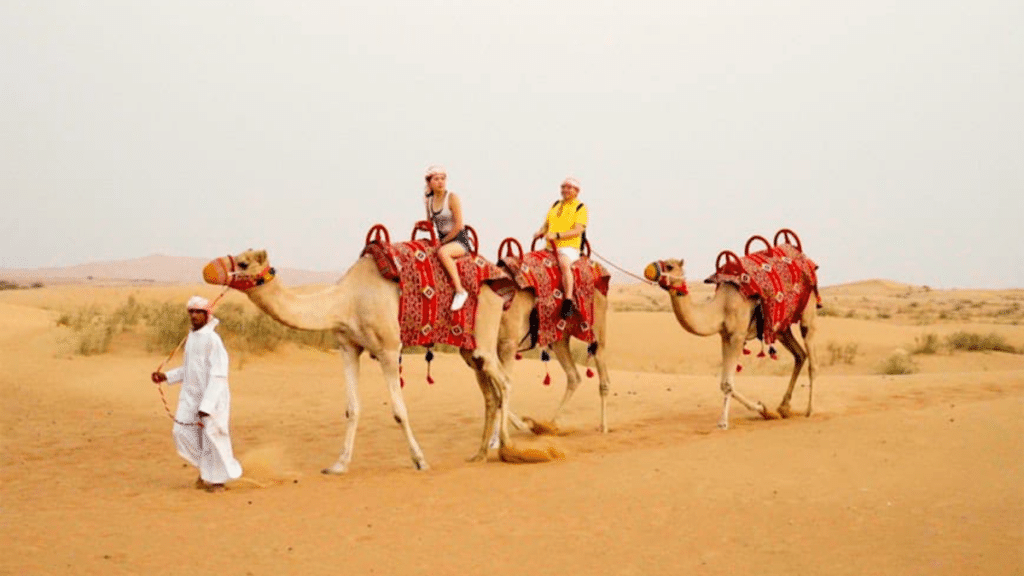 Family-Friendly Desert Safari Options in Abu Dhabi