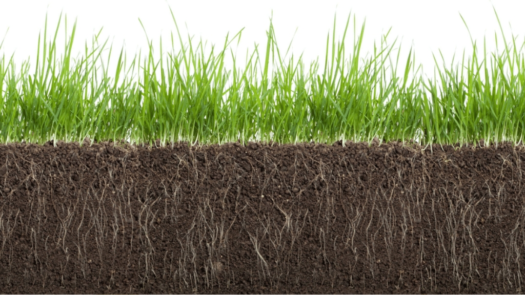 How Humic Acid Boosts Crop Yields and Soil Fertility