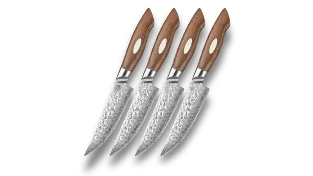 How to Choose the Best Steak Knife for Children