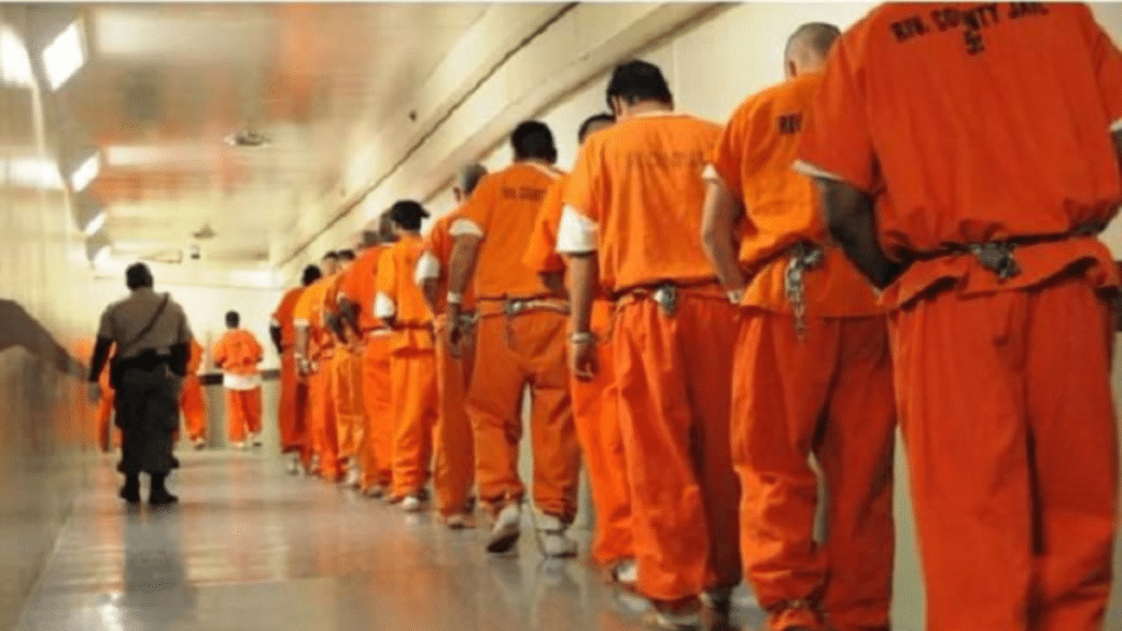 How to Find an Inmate in Orange County, CA A Quick Guide to the Jail System & Custody Info