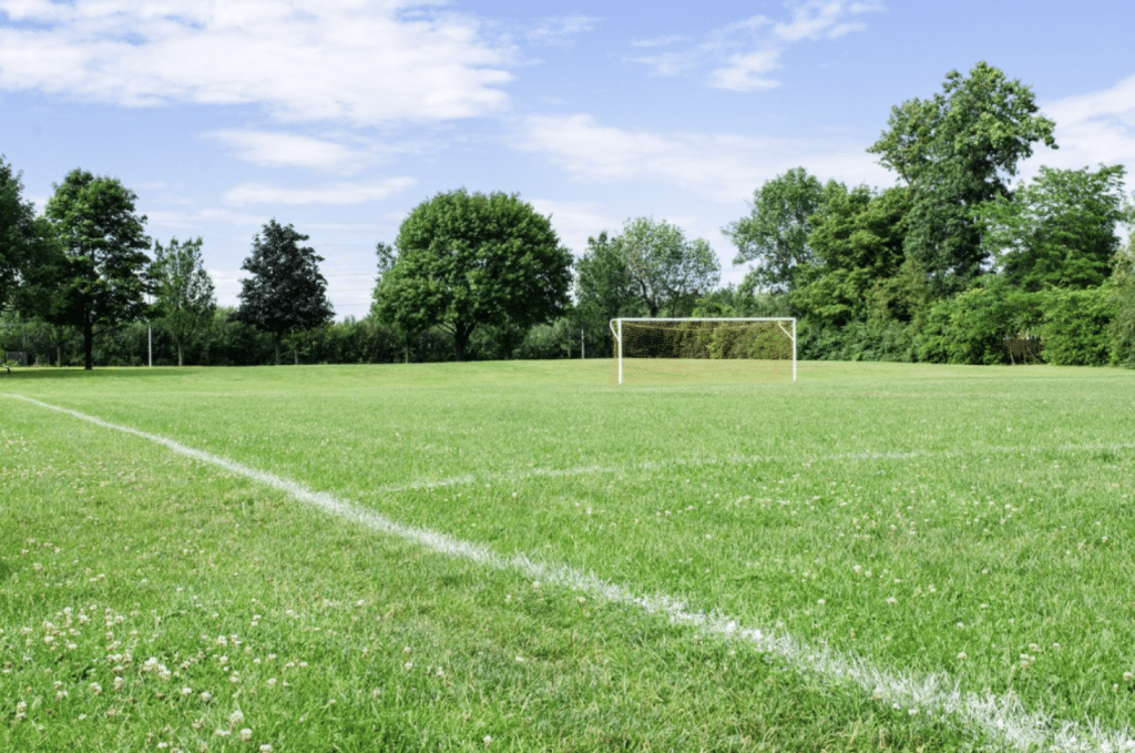 Optimize the Performance of Athletic Turf Fields with Proper Maintenance