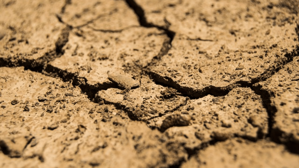 4 Pointers to Know When Preparing for a Land Capability Assessment