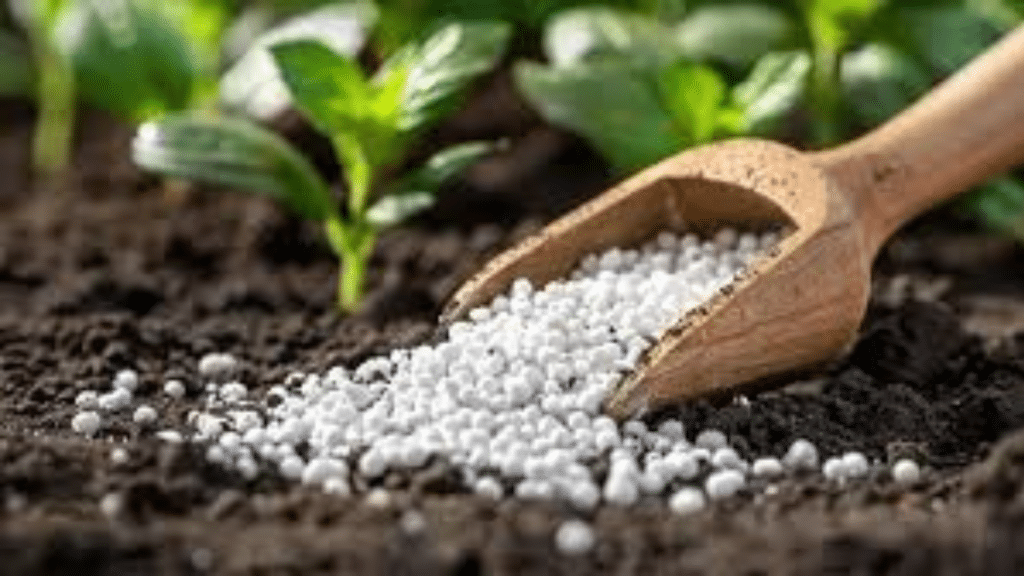 Balancing Growth Integrating Fertilization with Regular Trimming Practices