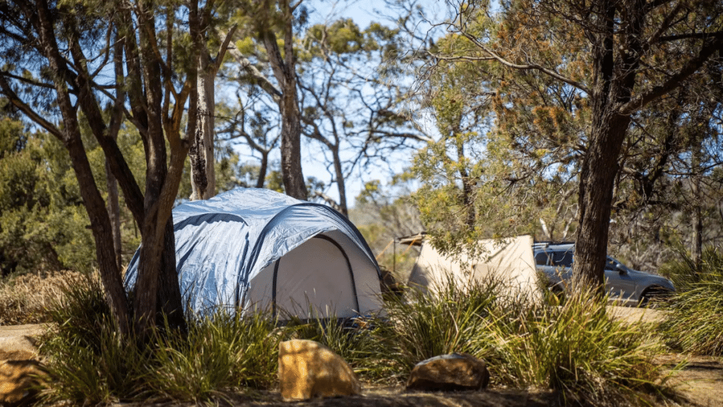 Camping in Australia What You Can and Can’t Do Legally