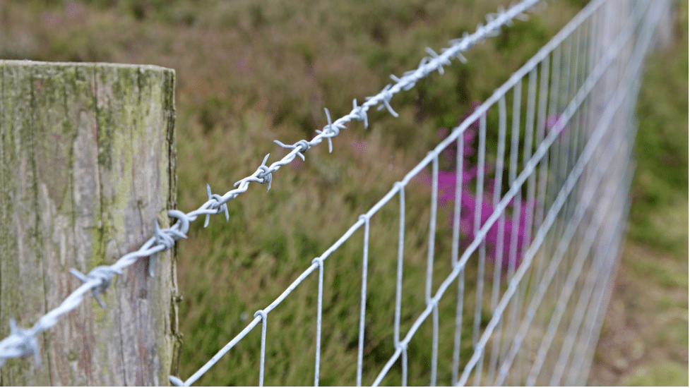 Cost-Effective Hog Wire Fence Solutions for Small Farms