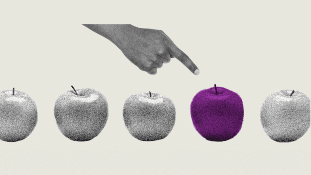 How to Choose the Right Branding Agency to Dominate Your Market