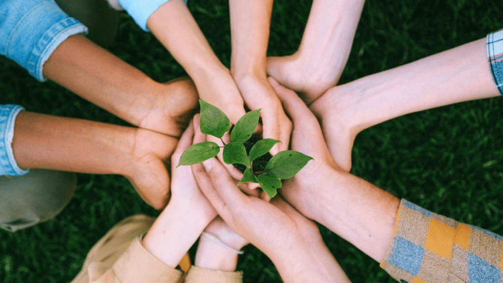 Legal Guidance for Nonprofits Governance, Compliance, and Growth Support