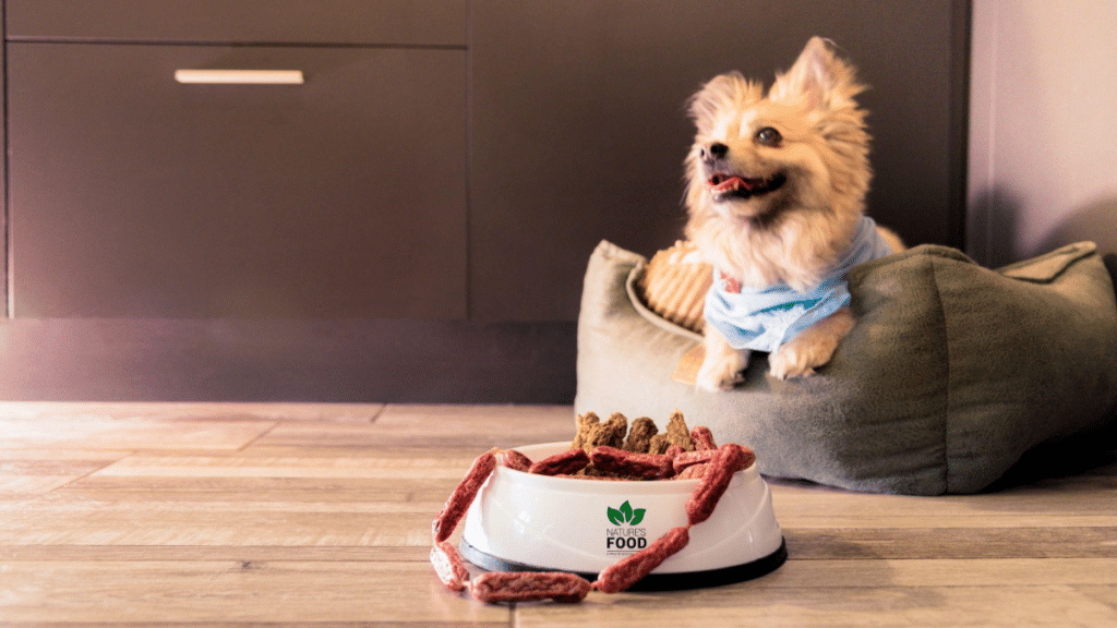 Navigating the Rise of Raw Dog Food in the Pet Industry