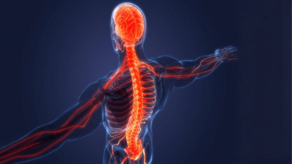 Silent Battles in Hollywood The Impact of Spinal Cord Injuries